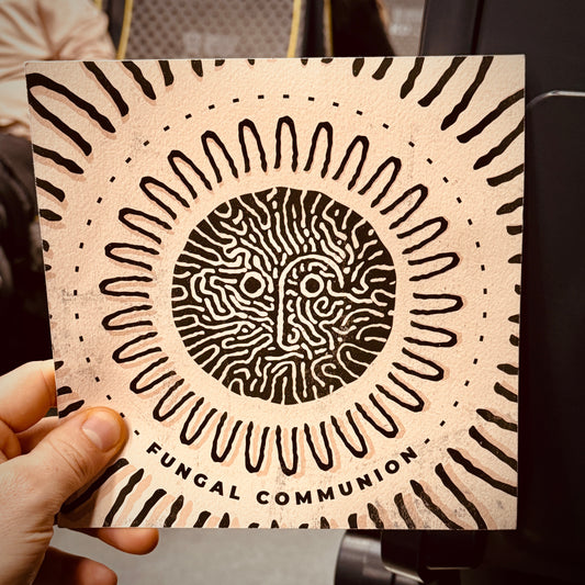 Fungal Communion (Various Artists) — mastering by Black View Studio®