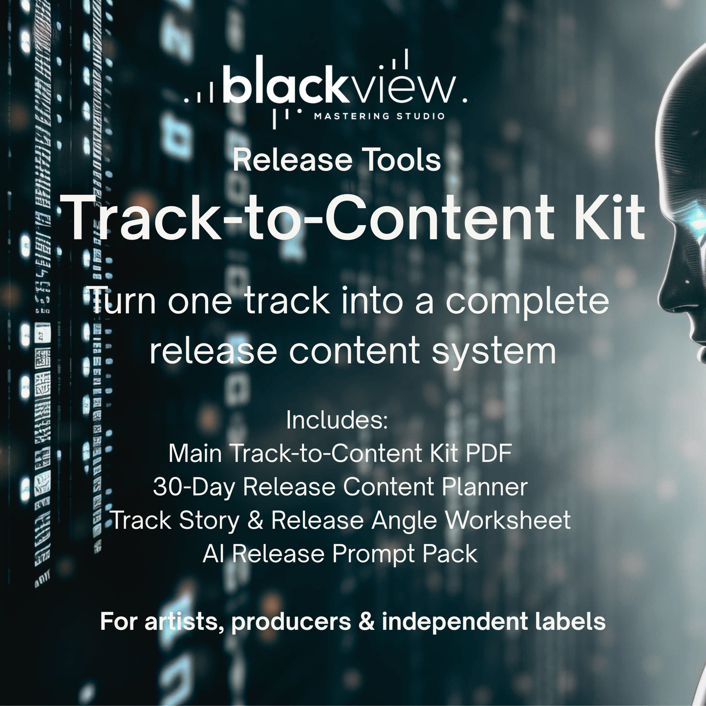 Four digital files included in the Track-to-Content Kit release planning system by Black View Studio.