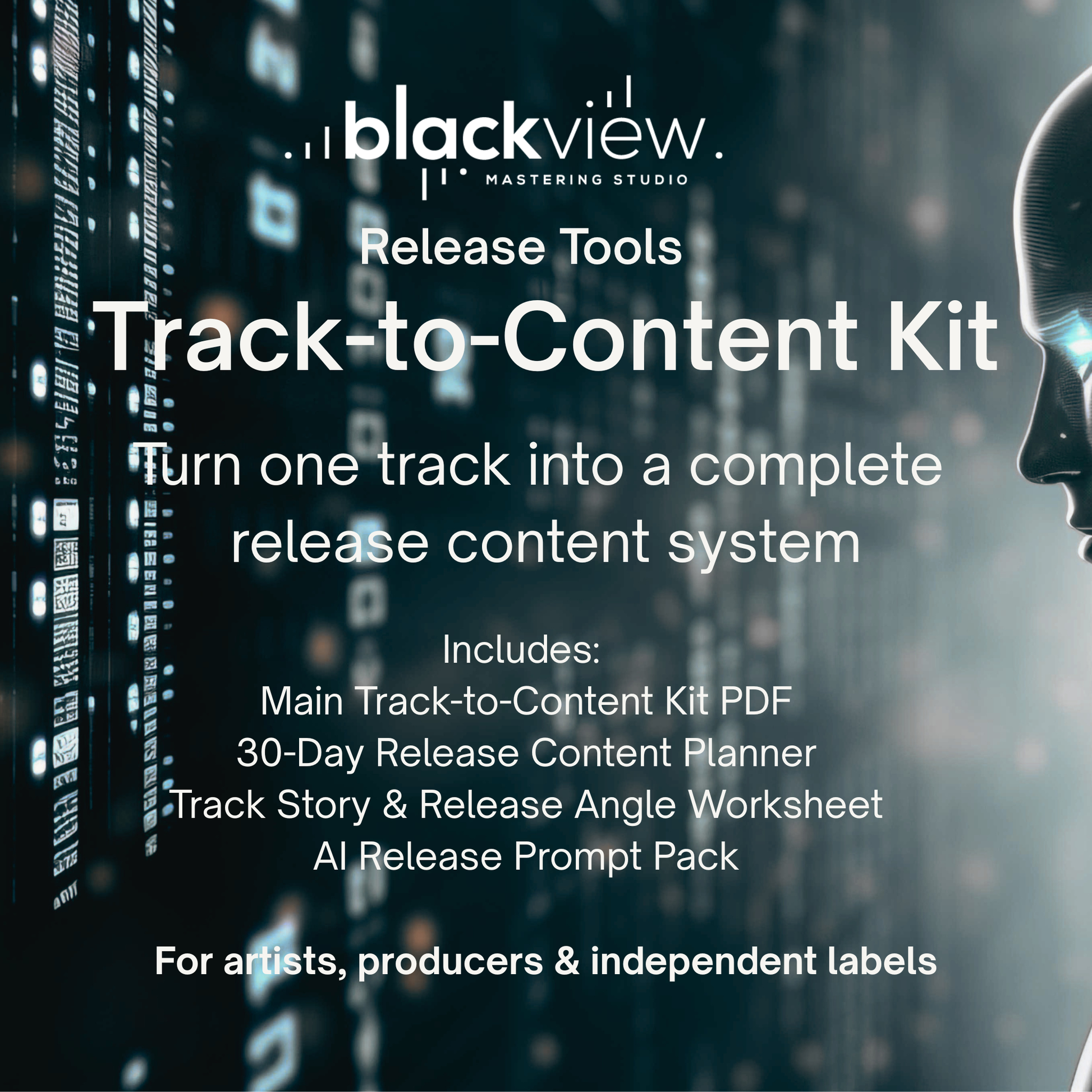 Four digital files included in the Track-to-Content Kit release planning system by Black View Studio.