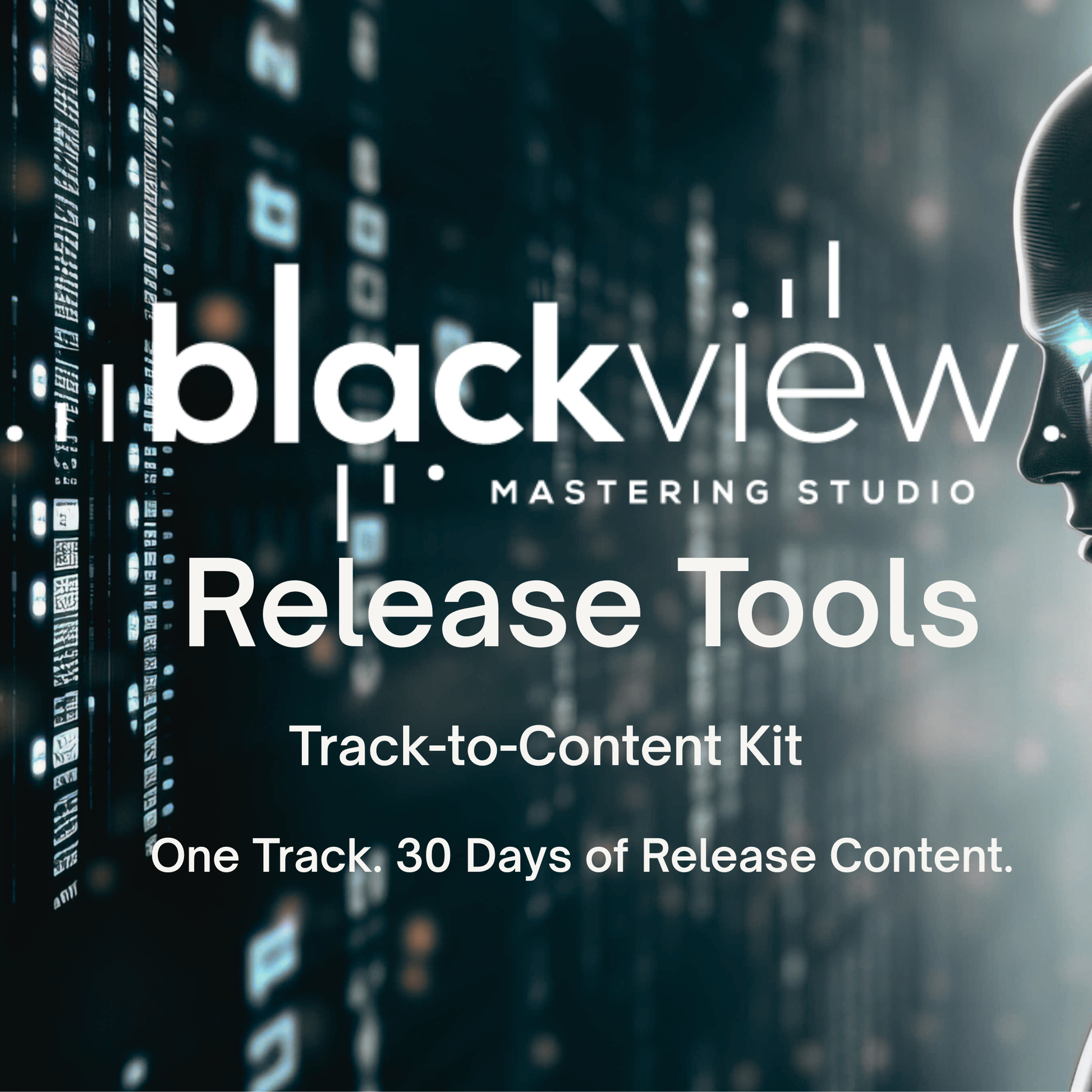 Track-to-Content Kit by Black View Studio, a digital release planning system for electronic music producers.